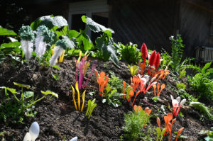 (Bild: plastophyten)