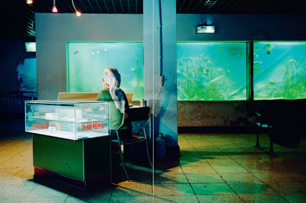 Bild zum Text von Lorenz Oliver Schmid