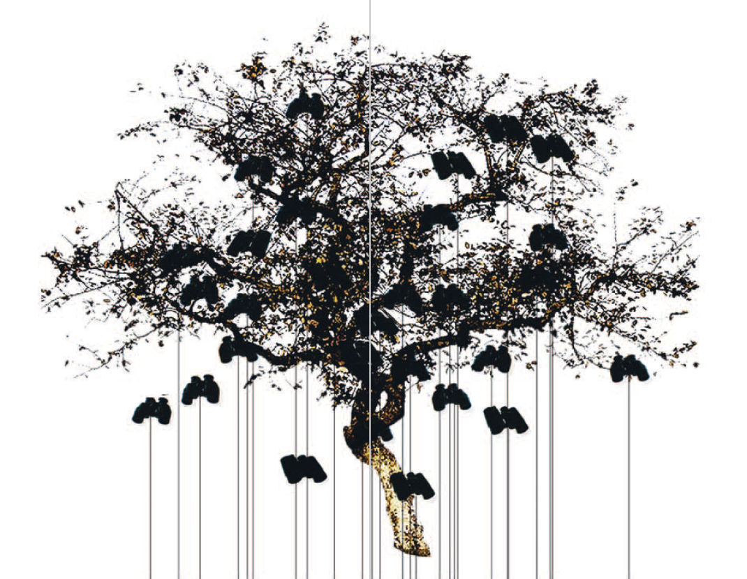 Bild zum Text von Ursula Palla