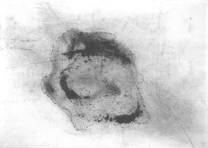 (Bild: organigramme)