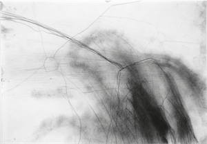 (Bild: organigramme)